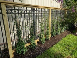 Stevens Landscaping