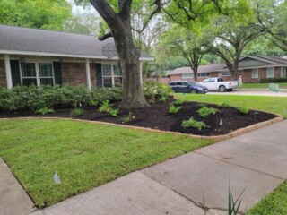 Stevens Landscaping