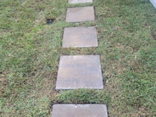 Antique buff color stepping stones