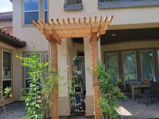 Cedar plant trellis