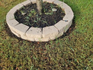 Limestone color paver blocks