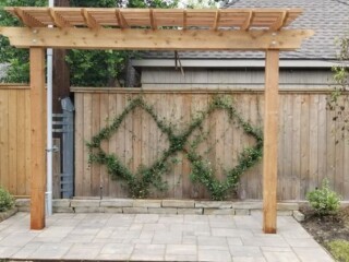 Cedar swing trellis