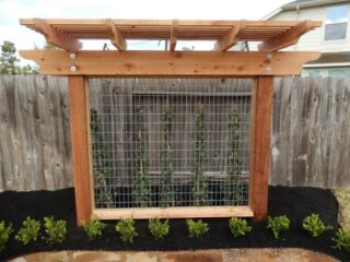 Plant trellis with galvanized panel