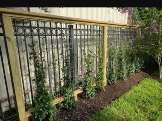 Treated lumber 2 x 4 inch galvanized trellis