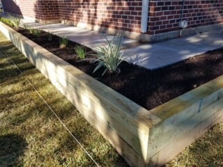 Treated pine timbers