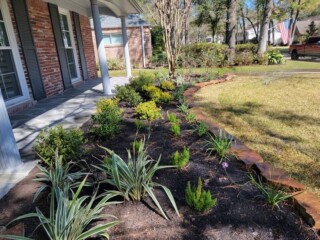 Various plantings
