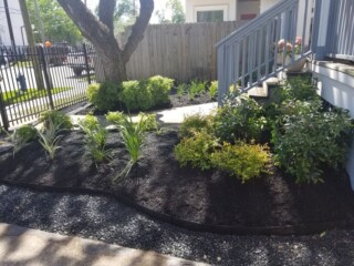 Various plantings