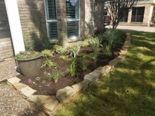 Various plantings