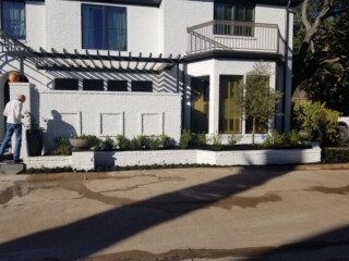Various plantings