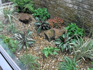 Stevens Landscaping